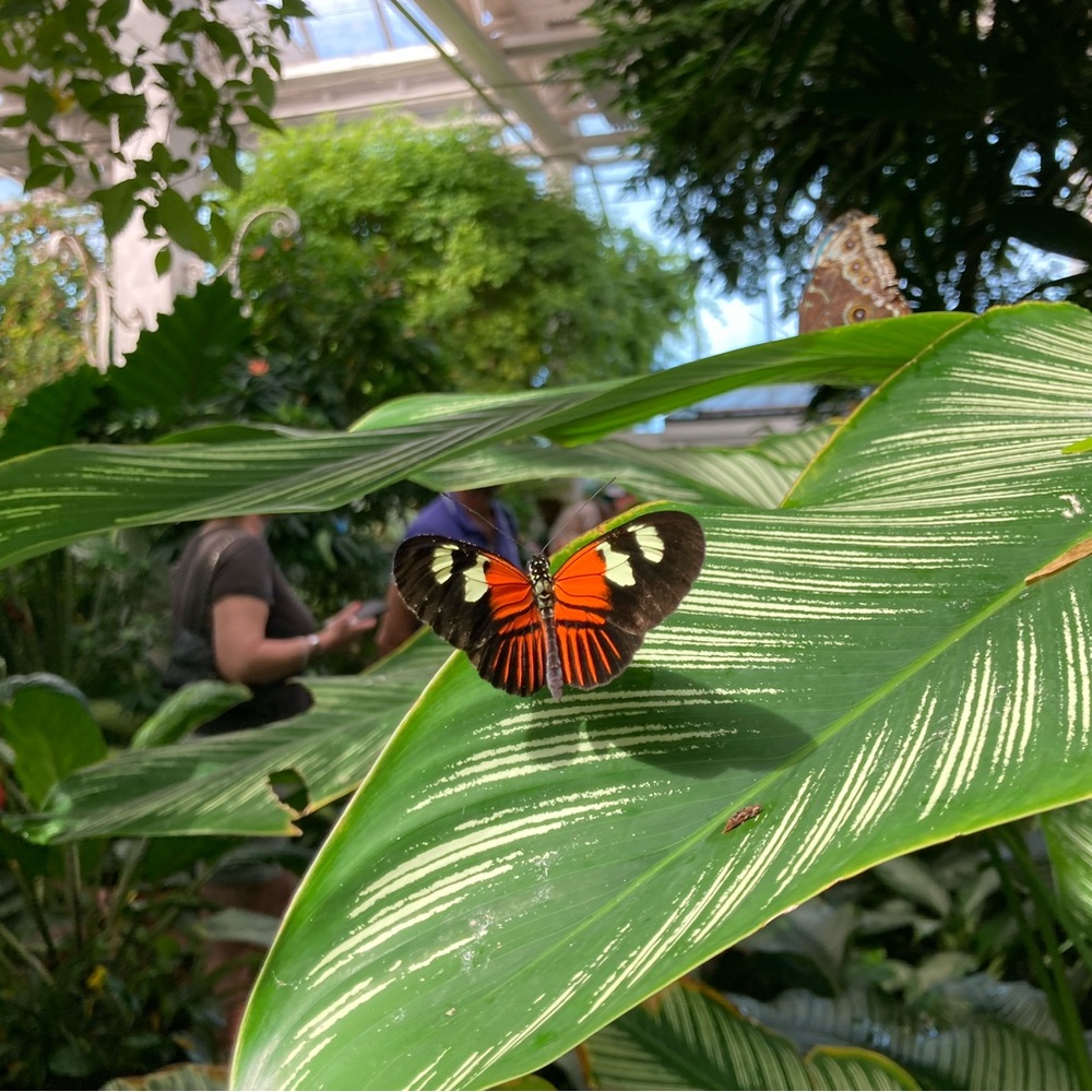 Meet your Posher, Terri